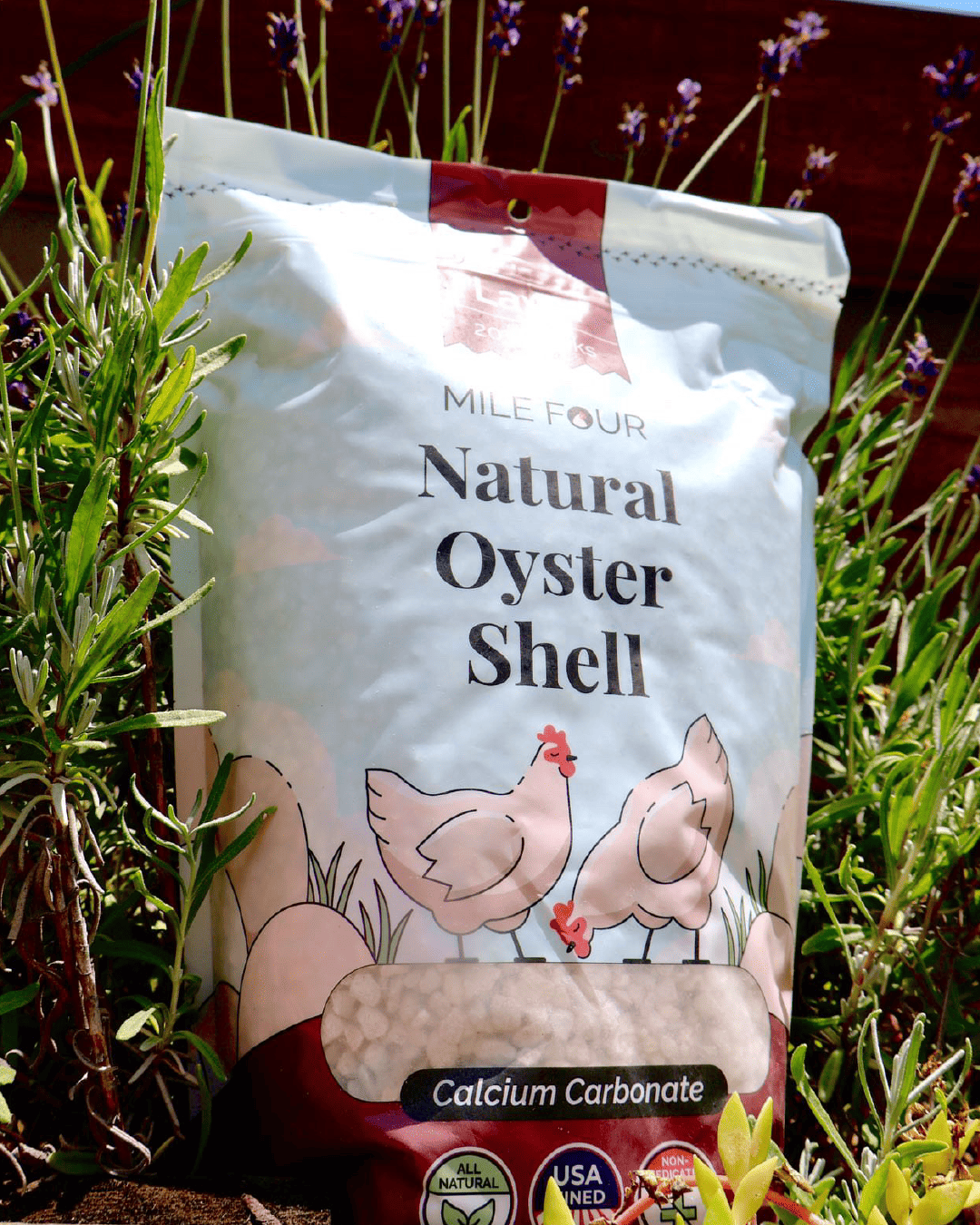 Oyster Shell
