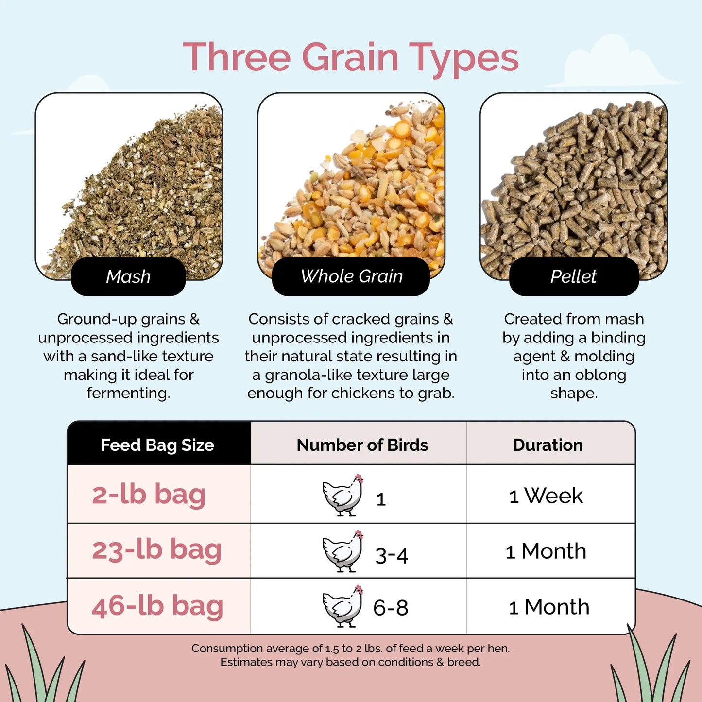 Layer Organic Chicken Feed