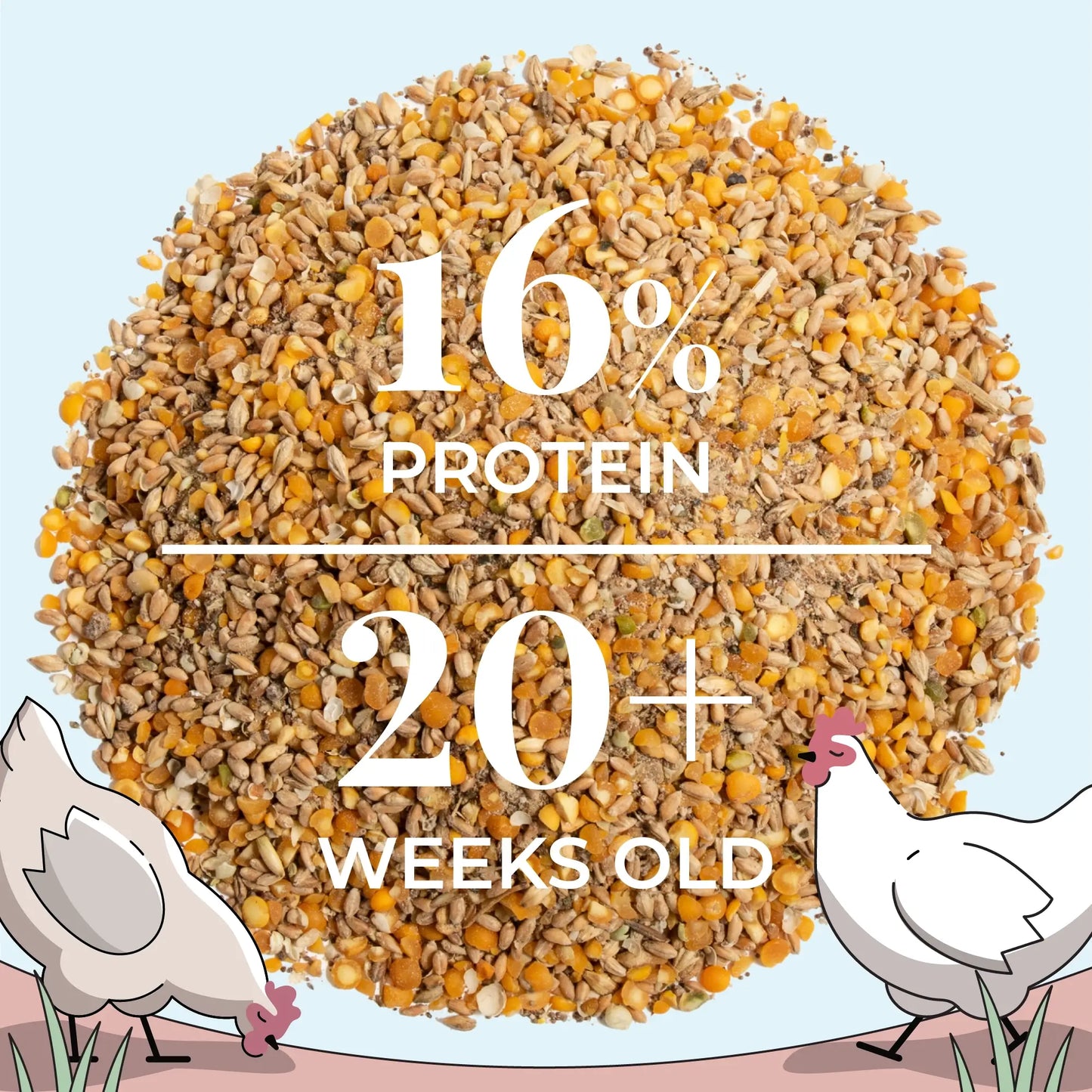Big Flock Bundle | 2 Months of Organic Feed, Grit & Oyster Shell for 20 Layer Hens